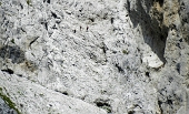 27 Pizzo della Presolana. Zoom sulla paretina centrale.